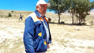 Элитная Гиссарская овцы 26 06 2020 года К/Х Нурзода / Гиссарский овцы / Гиссарский бараны