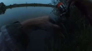 Ловля жереха на раттлин. Три вечера на реке.