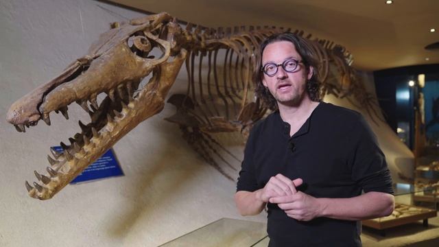 Geology of the Amstel Gold Race смотреть онлайн