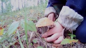 Озеро Аргази