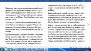Word Как вернуть и закрепить панель инструментов?