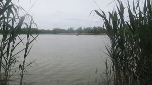 ветерок-8 с китайским карбюратором