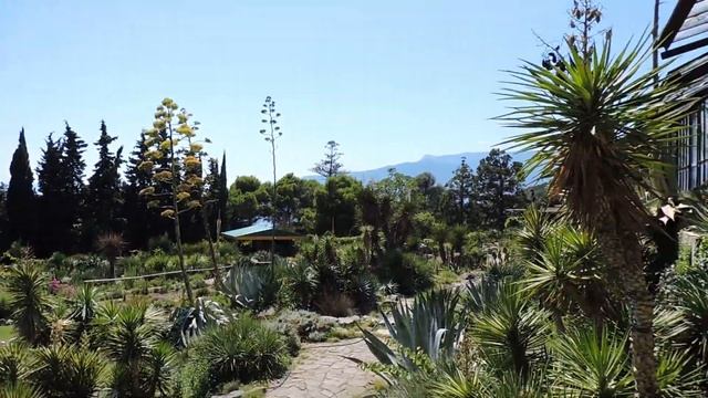 Ботанический сад [Часть 2] / Оранжерея Ялта / Райский сад /Кактусы и суккуленты ( 2019) смотреть онлайн