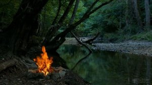 Надо ли поливать растения перед заморозками?