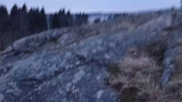 скала на Дружбе Народов Сорта