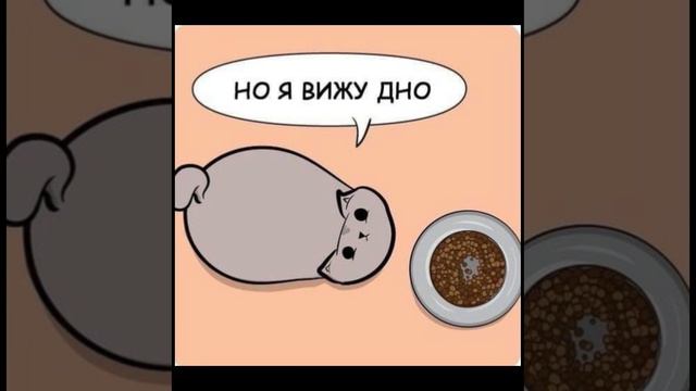 беспощадная логика котов