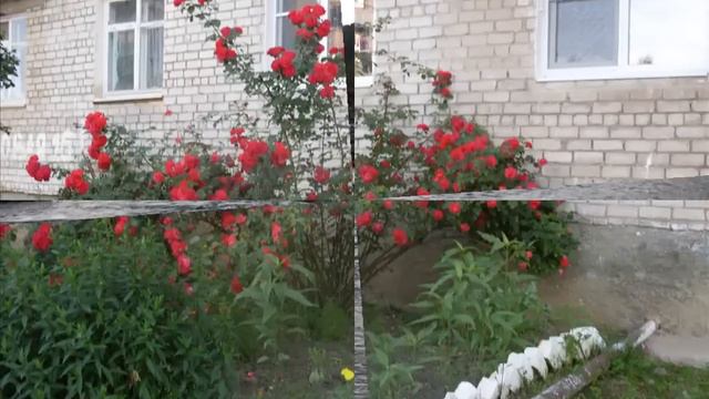 Медногорский КЧР.mp4