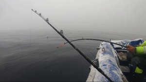 Морская рыбалка ура губа 2 часть! начало сезона 16марта 2019г