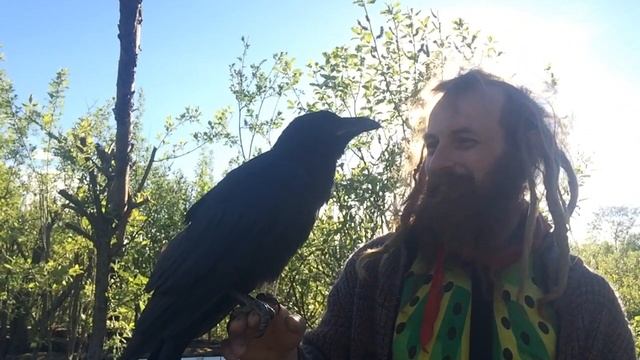 Море волнуется раз... смотреть онлайн