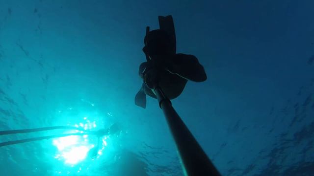 Снорклинг в Египте ч.2 \ Egypt freediving part 2 (snorkeling & apnoea and diving)