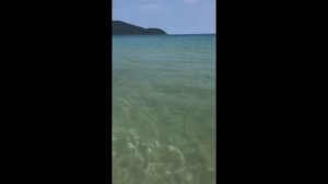 Ко куд. Апрель 2018