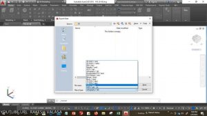 How to convert Dwg to stl in AutoCAD software