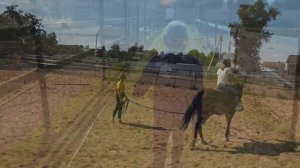 Конный спорт для детей. Сколько стоит, где заниматься, что даёт. Видео с тренировки.