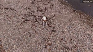 бухта Руднево (Красные камни) июнь 2021г. Приморье