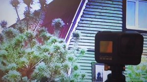 Небоскреб в Ребле - стройка века!!!