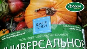 Уход за ягодными кустарниками осенью: как удобрять смородину, крыжовник и малину.