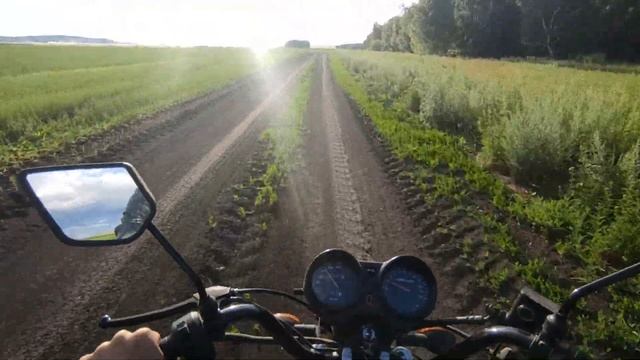 СЪЕЗДИЛ в ЛЕСНОЙ ПРУД ОДИН на МОПЕДЕ АЛЬФА! Мото Покатушки на Мотоцикле в Одиночку.