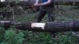 Тестирование лесного топора. Легкий топор, рубка и колка вдоль бревен до 40 см.