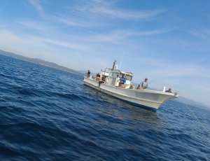 Рыбалка на камбалу , Находка Японское море 19.09.2021.