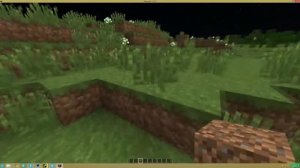 [QUICK]How To Get Full Brightness In Minecraft(No hacks or mods)