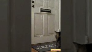 С 8 МАРТА❗💐🤩 (🎙️YuriY FiguroF)