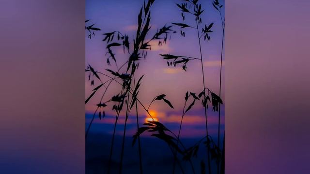 25 чудесных свойств бани. ПРИМЕТЫ. смотреть онлайн