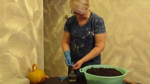 Готовим идеальный грунт для Эустомы.23.01.2020