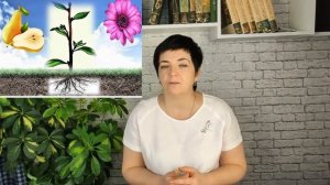 Низшие и высшие растения ч.1| ЕГЭ биология