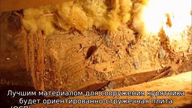 Курятник своими руками на 10 кур (зимний)