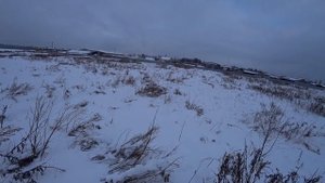 Охота на куропатку с Курцхааром!
