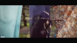 Игорь Кибирев - Пополам