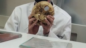 Языкоглоточный и блуждающий нервы. 9 и 10 ЧМН.