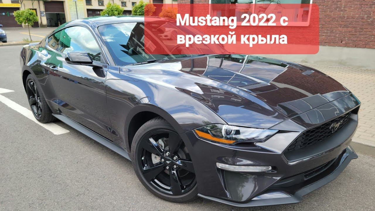 Ford Mustang 2022 с врезанным крылом #автоизсша