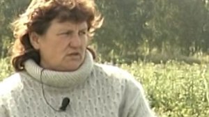 Слива и вишня бессея - родня