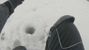 Ловля окуня на блесну. Техника проводки и уловистые блесны