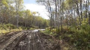 Сахалин. Дороги, природа, рыбалка.