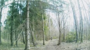 Промо LancetFPV 2024