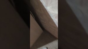 Я нашёл под столом пистолет