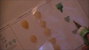 Wilton Method Instructor: How to royal icing leaves tip 352