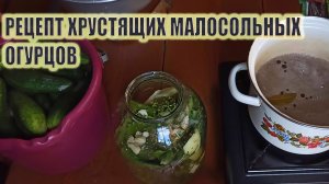 МАЛОСОЛЬНЫЕ ХРУСТЯЩИЕ ОГУРЕЧКИ