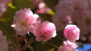 Ветер перемен