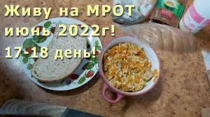 Живу на МРОТ июнь 2022г! 17 - 18 день! Небольшая закупка! _Плов_ со шкварками)))))