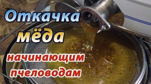 Откачка мёда на моей пасеке в августе. Для начинающих пчеловодов.