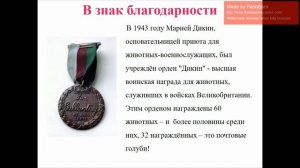 Рисование "Голубь - символ мира" в старшей группе.