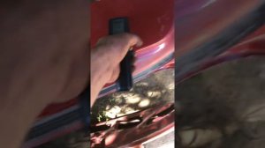 крышка багажника рио 3 хэтчбек