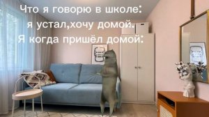 Ихвильнихт#ихвильнихт#рек