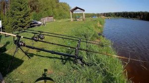 10 минут релакса. Карповые поклевки. Ловля карпа. YM fishing