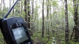 Спутниковые телефоны Иридиум | IRIDIUM