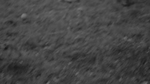 Сон Миры Тарковского