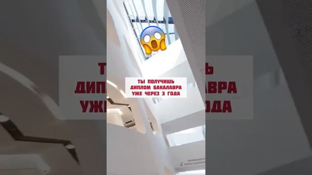 Венский Экономический Университет: факультеты + как поступить в Австрию